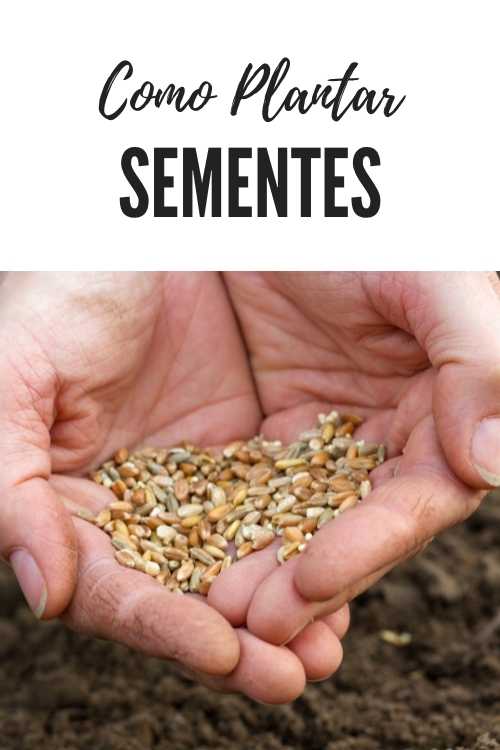 You are currently viewing Como Plantar Sementes