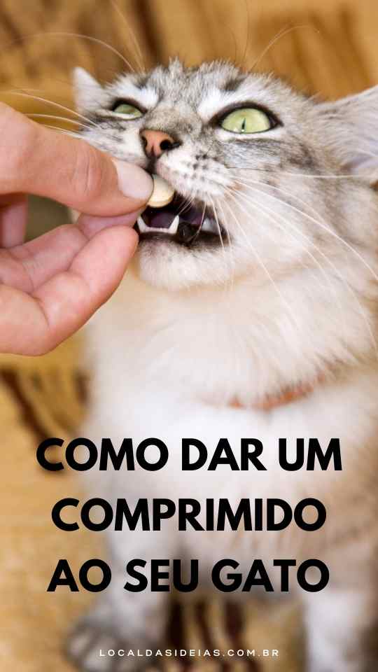 Read more about the article Como Dar um Comprimido ao Seu Gato