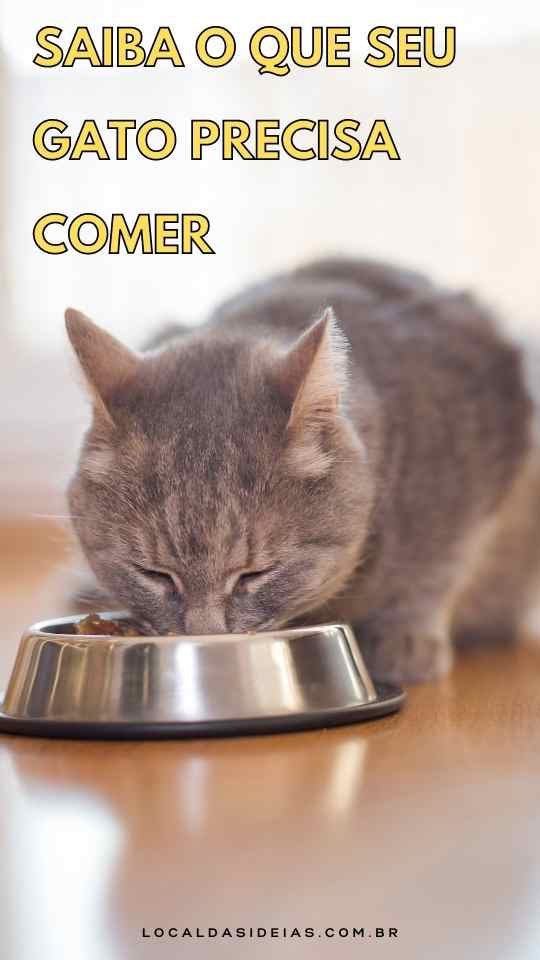Read more about the article Saiba o Que Seu Gato Precisa Comer
