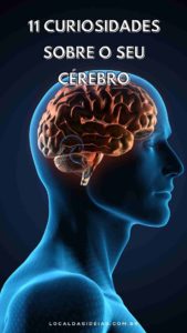 Read more about the article 11 curiosidades sobre o seu cérebro